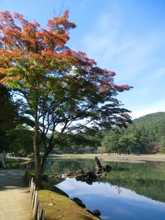 秋の東北周遊（9）平泉で平安の雅を味わい　猊鼻渓では渓谷美を堪能