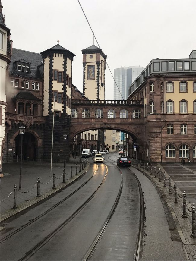 15年ぶりのドイツ。<br />銀行の用事と、旧友に会いに。<br /><br />フランクフルト郊外の友人宅に滞在。<br /><br />一日目、銀行の用を済ませてから在住の友人と市内をぶらぶら。<br /><br />彼女も住んではいても、乗ったことはないから、市内の観光バスに乗ってみよう!ということになりました。