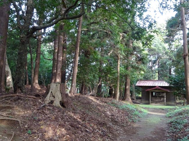 七十路夫婦　ヤマトタケルを旅する　日本書紀編その十一、北総・老尾神社、飯岡玉崎神社