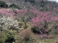 エクシブ湯河原離宮 