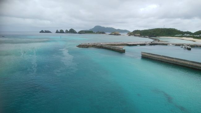 <br />那覇からそんなに遠くないところに慶良間諸島があることは知っていた。<br />しかし、沖縄に行こうと思うとどうしても有名どころの離島に目が行って<br />なかなか行かれずにいた慶良間。<br />一度は行ってみたい。<br />日本中、いや世界中のダイバーからも憧れている「慶良間ブルー」を見てみたい<br />調べてみると　慶良間諸島のなかでも「座間味島」は那覇からの日帰り客が大勢押し寄せ日中は賑わうそうで<br />夕方になると静かになるということです。<br />島内も充実していて飲食店やマリンショップなどもたくさんあるようで<br />が、それだけ人がいるということは海の中もそれなりになっているのでは・・・。<br />そこで<br />あまり聞いたこともないような「阿嘉島（あかじま）」ってどんなところ？<br />きっと人もあまりいなくて　海の中なんて手つかずの世界なんだろうな。<br />期待を膨らませいざ阿嘉島へ行ってみよう。<br /><br />3日目
