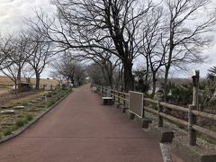 2019年02月　冬枯れの扶桑緑地公園を歩いた