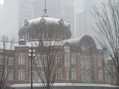 週末散歩　雪の東京散策　東京駅&#12316;浜離宮恩賜庭園&#12316;浅草