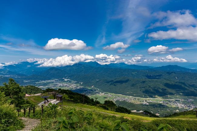 八方尾根自然研究路ではリフトで気軽にトレッキングが楽しめ八方池など絶景を見ることができる白馬、ヒマラヤの青いケシをはじめたくさんの高山植物を楽しめる白馬五竜高山植物園のある五竜、日本有数の高層湿原でトレッキングを楽しめる栂池自然園のある栂池、白馬/栂池/五竜エリアをぐるりと巡ってみました。<br /><br />□■□■□■□■□■□■□■□■□■□■□■□■□■□■□■<br /><br />白馬/栂池/五竜ぐるり旅、今回は五竜高山植物園へ行って来ました。<br />エスカルプラザのとおみ駅からゴンドラとリフトを乗り継ぎ、地蔵ケルンまで散策して登って行くとアルプスの絶景と高山植物がたくさんみることができます。ヒマラヤの青いケシをはじめ、珍しい高山植物も。この日は晴天にも恵まれ絶景と多くの高山植物の写真を撮ることができました。<br /><br />□■□■□■□■□■□■□■□■□■□■□■□■□■□■□■<br /><br />＜五竜高山植物園＞<br />http://www.hakubaescal.com/shokubutsuen/<br /><br />□■□■□■□■□■□■□■□■□■□■□■□■□■□■□■<br /><br />＜信州長野ぐるり旅＞<br />【1】地獄谷野猿公苑<br />https://4travel.jp/travelogue/10630325<br />【2】湯田中渋温泉郷　星川温泉　水明館<br />https://4travel.jp/travelogue/10631149<br />【3】信州善光寺<br />https://4travel.jp/travelogue/10631163<br />【4】松代象山地下壕<br />https://4travel.jp/travelogue/10631170<br />【5】大王わさび農場＆犀川白鳥湖<br />https://4travel.jp/travelogue/10631180<br />【6】春日城址公園（桜）<br />https://4travel.jp/travelogue/11405554<br />【7】六道の堤（桜）<br />https://4travel.jp/travelogue/11407904<br />【8】高遠城址公園（桜）前編<br />https://4travel.jp/travelogue/11410226<br />【9】高遠城址公園（桜）後編<br />https://4travel.jp/travelogue/11411646<br />【10】立石公園<br />https://4travel.jp/travelogue/11414906<br />【11】高島城（桜）<br />https://4travel.jp/travelogue/11416704<br />【12】松本城（桜）<br />https://4travel.jp/travelogue/11422162<br />【13】松代城（桜）<br />https://4travel.jp/travelogue/11423529<br />【14】臥竜公園（桜）前編<br />https://4travel.jp/travelogue/11426022<br />【15】臥竜公園（桜）後編<br />https://4travel.jp/travelogue/11230356<br />【16】上田城跡公園（桜）<br />https://4travel.jp/travelogue/11437474<br />【17】信州上田北国街道柳町<br />https://4travel.jp/travelogue/11438863<br />【18】北向観音<br />https://4travel.jp/travelogue/11444125<br />【19】安楽寺<br />https://4travel.jp/travelogue/11445701<br />【20】八方尾根自然研究路【前編】<br />https://4travel.jp/travelogue/11449691<br />【21】八方尾根自然研究路【後編】<br />https://4travel.jp/travelogue/11452228<br />【22】五竜高山植物園<br />https://4travel.jp/travelogue/11455297<br />【23】姫川源流自然探勝園<br />https://4travel.jp/travelogue/11461649<br />【24】上高地【前編】<br />https://4travel.jp/travelogue/11485781<br />【25】上高地【中編】<br />https://4travel.jp/travelogue/11495323<br />【26】上高地【後編】<br />https://4travel.jp/travelogue/11501434<br />【27】奈良井宿<br />https://4travel.jp/travelogue/11505861<br />【28】妻籠宿<br />https://4travel.jp/travelogue/11508443<br />【29】松本城下町<br />https://4travel.jp/travelogue/11514681<br />【30】ビーナスライン【前編】<br />https://4travel.jp/travelogue/11522722<br />【31】ビーナスライン【後編】<br />https://4travel.jp/travelogue/11524119<br />【32】諏訪大社【前編】<br />https://4travel.jp/travelogue/11529862<br />【33】諏訪大社【後編】<br />https://4travel.jp/travelogue/11532909<br />【34】旧開智学校<br />https://4travel.jp/travelogue/11535936<br />【35】小諸城址懐古園<br />https://4travel.jp/travelogue/11581127