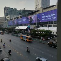 バンコク(11回目）空港レストランにネズミ現れる