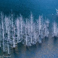湯西川温泉 旅行 クチコミガイド フォートラベル 栃木県 湯西川温泉 旅行 クチコミガイド フォートラベル 栃木県