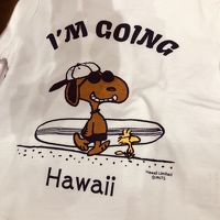 ひとりっぷ in Hawaii P-1