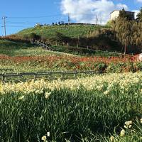 2018年末　城と温泉の旅2～3日目