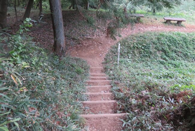 群馬と長野の名城巡りです。