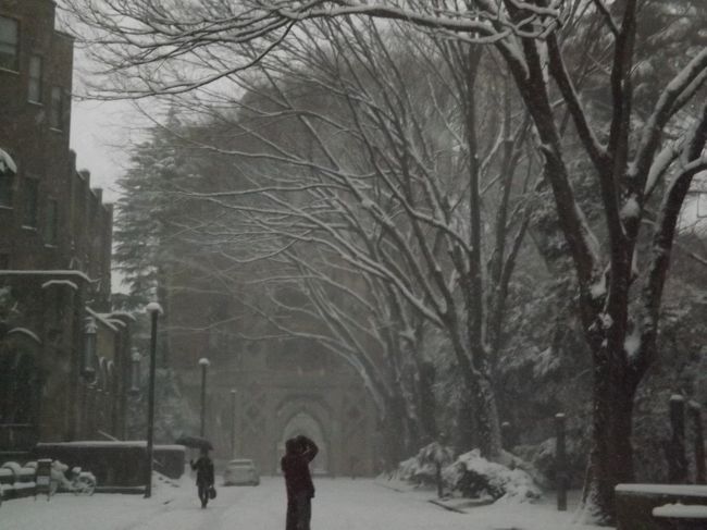 雪の東京へ行こう