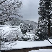 厳寒の永平寺と東尋坊、恐竜博物館。越前名物食べ歩き。