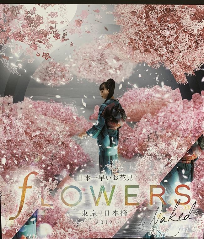 360度　桜に包まれる！日本一早いお花見<br />『ｆＬＯＷＥＲＳ　東京日本橋2019』に行ってきました。<br /><br />東京・日本橋三井ホールにて1月29日～3月3日まで開催されています。<br /><br />【入場料・当日】<br />大人：平日　　1,600円<br />　　　土日祝　2,000円<br />子供：平日　　1,000円<br />　　　土日祝　1,000円<br /><br /><br />