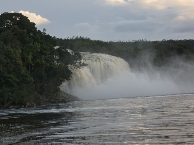 お昼の1時過ぎ、エンジェルフォール(Angel Falls)キャンプ地を出発、帰路に就く。下りはやはり早い。来る時は昼食休憩を1時間除いて5時間ほど掛ったが、下りは3時間。来た時には最後の1時間が結構な雨だったので、近くに迫るアウヤンテプイ(Auyan Tepui)の断崖が見えなかったが、帰路では十分に楽しめた。下りも登りと同様にマユパの早瀬(La Sabana de Mayupa)の部分は歩いて移動したが、帰りに歩いたコースは、行きと違ってカラオ川(Rio Carrao)の浅瀬が見え、これは確かに乗ったままの移動は無理だわと納得。4時ちょうど頃にカナイマ湖(Laguna de Canaima)に注ぎ込む滝の上の部分に到着。<br />https://www.facebook.com/media/set/?set=a.1873855609351121&amp;type=1&amp;l=b4b931c134<br /><br />カラオ川がカナイマ(Canaima)の村の前で、段差を流れ落ちる複数の滝となり、その滝壺部分がカナイマ湖になっているのだが、その滝群の約1.5㎞上流で3本の流れに分かれており、カナイマ湖に落ちる4つの滝はそのうちの2本の流れから出来ている。一番北側に分岐した川はカナイマ湖の北側をいわばショートカットし、そこに残る2本の流れがいったんカナイマ湖に落ちたのち、カナイマ湖から流れ出すのだが、そのカナイマ湖の下流に直接合流している。エンジェルフォールへのツアーの出発点は、一番南側の川のカナイマ湖へ流れ込む滝の南側のものの少し上流だったのだが、終点はカナイマ湖へ向かわない北側へ分岐した川岸。この分岐川はカナイマ湖への滝には繋がらないのだが、他の2本の分岐川同様に段差は存在するため、その部分はカナイマ湖へ流れ込む滝とは別の滝を作っている。それがサポの滝(Salto el Sapo)。まずは歩いて下流に向かうと5分ほどで川が岩場に差し掛かる。岩場を少し歩くと一気に眺めが開ける。これがサポの滝。段々になった岩場を流れ落ちる光景は独特。しばらく滝の上の光景を楽しんだ後は、10分ほど掛けて滝の下に降りる。ここが有名な滝の裏側を歩けるところ。いや、水量が半端じゃない。来る前に日本のテレビで見てたけど、体験すると本当にすごい。<br />https://www.facebook.com/media/set/?set=a.1873868676016481&amp;type=1&amp;l=6558b60340<br />https://www.facebook.com/chifuyu.kuribayashi/videos/1873883096015039/?l=2868696454099391184<br /><br />4時45分頃サポの滝を出発。滝の下からそのまま島を横切りカナイマ湖へ向かう。15分ほど歩いてカナイマ湖の上段の北の端に到着。カナイマ湖も滝壺部分の上段と一段低くなった下段があり、上段の部分に4つの滝が流れ落ち、合わさって下段に進み、北側から流れ出し、そこにサポの滝からの流れが合流する。カナイマ湖に到達すると目の前はアチャの滝(El Salto Hacha)。分岐した真ん中の川が造る滝。これもすげえ水量。この滝も裏側が歩ける滝で、ボートに乗って湖を渡り、滝の端へ移動。すでに日は沈んだのでだんだんと暗くなる中で、この滝も裏側を歩く。ここも凄かった。<br />https://www.facebook.com/media/set/?set=a.1873886092681406&amp;type=1&amp;l=5e28d006c1<br /><br />5時半過ぎにアチャの滝観光を終了。ボート乗り場に戻り、今度はカナイマの町に向けてカナイマ湖の上段を南に横切る。アチャの滝に続き、ワダイマの滝(Saltos Wadaima)、ゴンドリーナの滝(Saltos Golondrina)、ウカイマの滝(Saltos Ucaima)と続くがもう日暮れで暗い。ちなみにワダイマの滝は真ん中の川と南側の川の流れが分岐して合流して出来た滝で、ゴンドリーナの滝とウカイマの滝は南側の川が岩で分かれてできたもの。この時はそれぞれが2本の流れに分かれていた。<br /><br />暗くなった中そんな滝を眺めてたら突然着いたので降りろと。慌てて降りるが1人だけ。そう、ツアーが一緒のメンバーとは私だけが違うロッジに泊っているので、降りるところが違った。突然の話だったので、エンジェルフォールの観光フライトをどうするかも決めてないし、一緒させて戴いたナースのお二人との連絡先の交換もしてない。あれまあ・・・<br /><br />で、岸に上がるとそこはもうタプイロッジ(Tapuy Lodge)。私が泊まるロッジで、なかなかきれいなロッジだった。食事付きで追加でビールを頼み美味しく戴いた。明日の観光フライトの件とか、ツアーメンバーと相談したかったが、歩いて行くのは結構遠いと云われて断念。翌朝と思ったんだけど、後から考えると私はローミングしてないので、携帯掛けることが出来なかったが、ロッジから電話してもらえばよかった。で、翌日のことは決まらずもやもやのまま長い1日が終わる。そう云えば、予定外にいきなりのボートツアーになり、浅瀬で水は被るは、雨にも打たれるはだったので、かなり荷物が濡れてしまっていた。特に困ったのはiPadが充電ケーブル繋いでもウンともスンとも云わなくなったこと。写真の保存先として考えていたので予定が狂った。ただ、このiPad、日本に戻ると無事復活した。でも、その後ジャマイカで突然動かなくなった。バッテリー寿命だな、きっと。結構長く使ったのでしゃあない。<br />https://www.facebook.com/media/set/?set=a.1873892609347421&amp;type=1&amp;l=f154255dcd<br /><br /><br />ベネズエラ最終日に続く