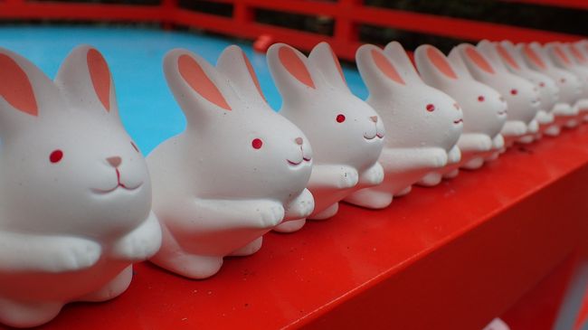 妻が仕事で京都に行くというので現地合流で一泊二日旅行。<br />オフシーズンの京都を満喫すべく、<br />イノシシで有名な護王神社やウサギで有名な岡崎神社をめぐってみました。