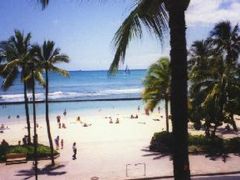 ハワイ1999初夏<ワイキキ・ハナウマベイ・ビショップミュージアム・IMAXシアター>