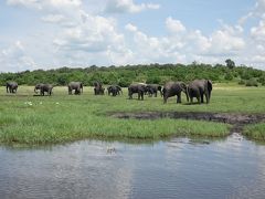 ヴィクトリアの滝、南部アフリカの旅（２）ボツワナ