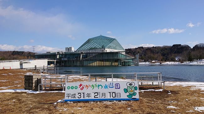 2019年2月9日から10日､栃木県那須郡那珂川町の馬頭温泉に行きました。<br />前回川治温泉に2018年12月31日から1月2日にかけて出掛け､出発日を12月とすると実質2019年最初の旅行になりました。<br />馬頭温泉は昨年(2018年)10月に行ったばかりですが､連れのぶーさんが以前より目をつけていたお宿が空いていたので急遽予約をし行くことになりました。<br />その今回のお宿は､「囲炉裏の温泉宿いさみ館」さん。<br />中々予約がとれず行けなかったのですが､やっと念願が叶いました。<br />築150年以上の古民家を移築して造られたレトロなお宿です。<br />たまたまですが､昨年10月の馬頭温泉､11月の塩原温泉､12月の川治温泉､そして今回再びの馬頭温泉と､4回続けて栃木の旅行になりました。<br />お宿にチェックインする前に観光で立ち寄ったところが「なかがわ水遊園」。<br />軽く見学するつもりだったのが､思いの外立派な水族館でしっかり見入ってしまいました。<br />2日目は東武宇都宮駅から栃木駅で降りて､お気に入りの日本酒「姿」を購入し､岩下の新生姜ミュージアムに行きランチをいただきました。<br />今回の充実した旅行は連れのぶーさんと43回目になりました。<br /><br />今回訪れたお宿：いさみ館<br />今回訪れた場所：なかがわ水遊園､おおわだ酒店、岩下の新生姜ミュージア<br /><br />part2は↓<br />https://4travel.jp/travelogue/11464762<br /><br />part3は↓<br />https://4travel.jp/travelogue/11467184<br /><br />なかがわ水遊園のクチコミは↓<br />https://i.4travel.jp/review/show/13550724<br /><br />(&#11015;️過去の馬頭温泉旅行記です&#11015;️)<br /><br />・馬頭温泉に行きました。「宇都宮散策と美人の湯で寛ぎの旅」(2018.10・南平台温泉ホテル) part1<br />https://4travel.jp/travelogue/11424030<br /><br />・馬頭温泉に行きました。「宇都宮散策と美人の湯で寛ぎの旅」(2018.10・南平台温泉ホテル) part2<br />https://4travel.jp/travelogue/11424249<br />