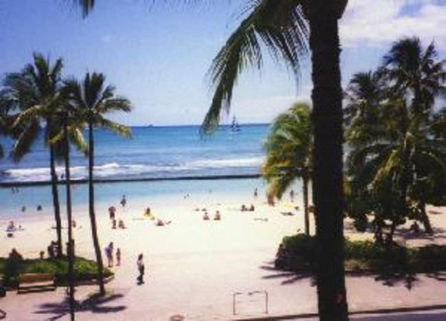 ハワイ1999初夏<ワイキキ・ハナウマベイ・ビショップミュージアム・IMAXシアター>