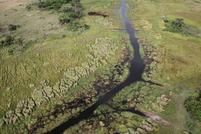 　今回の旅先はアフリカのボツワナ。1000番目の世界遺産オカバンゴ・デルタを訪ねる。<br /><br />7日目。<br />この日はヘリコプターでオカバンゴ・デルタ上空を遊覧する。<br />空から見下ろした景色はまさに絶景だった。<br /><br />8～10日目。<br />ヨハネスブルグで1泊して日本へ帰国。<br /><br /><br />□1日目（2018/12/27）　関空～香港～ヨハネスブルグ<br />□2日目（2018/12/28）　ヨハネスブルグ～マウン<br />□3日目（2018/12/29）　モコロ体験<br />□4日目（2018/12/30）　サファリ（1日目）<br />□5日目（2018/12/31）　サファリ（2日目）<br />□6日目（2019/1/1）　　サファリ（3日目）<br />■7日目（2019/1/2）　　ヘリコプターシーニックフライト<br />■8日目（2019/1/3）　　マウン～ヨハネスブルグ<br />■9日目（2019/1/4）　　ヨハネスブルグ～香港<br />■10日目（2019/1/5）　 香港～関空