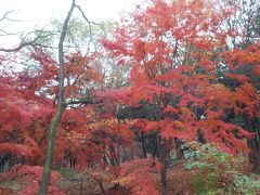 ソウル旅行2018年11月4泊5日④