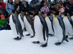 北海道ふっこう割１日目：旭川空港→旭山動物園→層雲峡