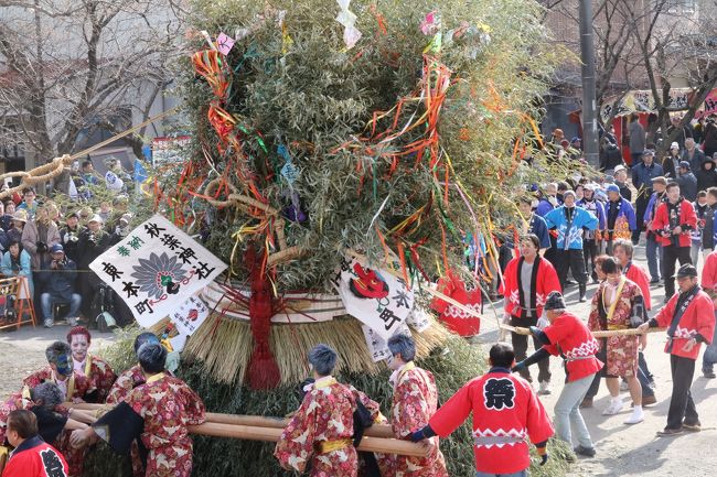 ２月１０日（日）日本三大左義長の一つ岐阜県今尾の左義長を見てきました。<br />当日の様子を伝える中日新聞の記事です。<br /><br />百年余りの歴史を持つとされる伝統神事で、県の重要無形民俗文化財に指定されている。<br />地元の十二自治会は九日、高さ六メートル、重さ一・五トンの竹みこし十二基と小ぶりな子どもみこし二基を準備した。<br />　祭り当日は、長じゅばんに白足袋をはき、派手な化粧をした「若衆」らが地区を練り歩いた後、順に境内へ担ぎ込んだ<br />みこしに点火すると炎を上げて灰が舞い、竹のはぜる音が響いた。若衆が縄を持ってみこしの周囲を駆け、最後に今年の恵方の東北東に倒された。<br />　<br />去年この左義長の事を知ったのは、左義長が終わってしまった後でしたが、来年は行こうと楽しみにしていました。<br />そして今年２月１０日、実現して見ることができました。