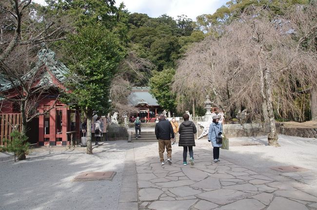 2019年１月24日（木）、伊豆山神社（静岡県熱海市伊豆山上野地708番地１）を参詣しました。本神社は正哉吾勝勝速日天忍穂耳尊、拷幡千千姫尊、瓊瓊杵尊を祭神とし、伊豆大権現・走湯大権現・走湯山・伊豆山等とも称されていました。平安時代後期には山岳修験霊場として名を馳せました。そして、関八州総鎮護とされています。JR熱海駅からは東海バス (伊豆山神社・七尾行)で伊豆山神社前下車で、鳥居前です。<br />本神社は鎌倉幕府初代将軍源頼朝と深い縁を有していました。平家六波羅政権に対する反乱蹶起に当たって、走湯山住侶覚淵を頼朝は招き、千部法華経読誦が日付（蹶起日）までに満たないが、大丈夫かと問うと、覚淵は八百部で大丈夫とし、蹶起は成功すると請負います。かくて、頼朝は自信を付けます（『吾妻鏡』治承４年７月５日条）。次いで、山木夜討ちに成功した翌８月18日、毎日の勤行が戦場に赴くのでこれが出来ないとして、伊豆山尼法音（北条政子帰依）に身代わりの勤行を頼朝は依頼します（『吾妻鏡』同日条）。相模国に向かう頼朝軍とは別に政子は伊豆山に隠れ、次いで秋戸郷に移ります（『吾妻鏡』９月２日条）。石橋山合戦敗戦から、房総に再起した頼朝は10月６日に鎌倉に入りますが、11日に走湯山住侶良暹（鶴岡八幡宮暫定別当）が先日の約束に従い頼朝に会います。良暹は頼朝の年来の師檀でした（『吾妻鏡』同日条）。このように伊豆流人時から頼朝は伊豆山神社に帰依しており、その全体ではないでしょうが反乱蹶起にも大いなる支援を与えられていたのです。これに応えて、治承・寿永の内乱に勝利すると、頼朝は文治４年（1188）から伊豆・箱根・三島社の「二所参詣」を行ないます。将軍の二所参詣はこれ以後恒例行事となります。以上、頼朝と伊豆山神社は深い縁があり、本神社は鎌倉幕府の厚い庇護を受けることになります。<br />表紙写真は、境内（標高170ｍ）に入ったところで、本殿を遠望したものです。手前左が手水社です。見えませんがこの奥に雷電社があります。