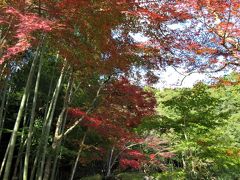 ２０１８年１１月　紅葉の山口　常栄寺　雪舟庭の紅葉を楽しみました。