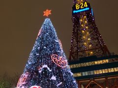 旅費1万3千円で行けた北海道札幌雪まつりは大寒波襲来でした②