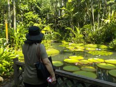 今年もシンガポールへ！　その２　シンガポール植物園へ。