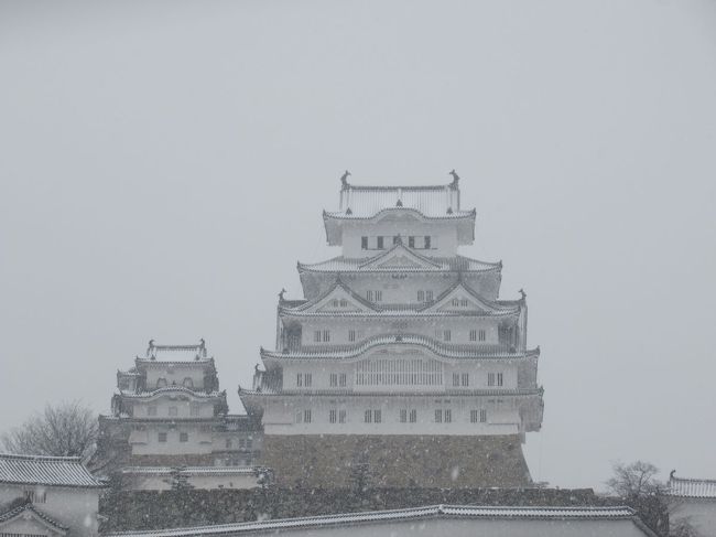 ２月１１日朝。姫路のホテルで目覚めて窓から外を見たらなんと雪であたりが真っ白に。<br />年に一度積もるかどうかという姫路の雪。<br />平成の大修理でただでさえ白くなったのに白鷺城ともいわれる美しい白亜の姫路城が白く雪化粧。<br />「はじめての登城の日に雪なんて！」と最初は天候を恨んでいましたが考えようによってはめったに見られない姿をこの目で見られるなんてラッキーかも？と思うことにしました。<br />姫路城の珍しい姿にＴＶクルーまで来ていて、関西の夕方のニュースで取り上げられるほどでした。<br /><br />写真の枚数が多くなってしまいましたので数編に分けてレポートさせていただきます。