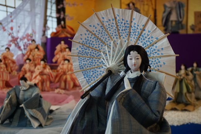 近江八幡市やその周辺は近江商人の故郷。ただ、これまではその故郷の範囲は近江八幡の市街くらいなんだろうなあというぼんやりした認識だったんですが、今回、近江鉄道の沿線を歩いてみたことで、その範囲は、東近江市なども含めたかなりの地域に及ぶことがわかりました。<br /><br />ただ、それは反面、近江商人というくくり方があまりにも大ざっぱすぎるということ。近江商人でも、近江八幡は八幡商人。近江鉄道沿線でも、日野の日野商人とそれ以外の湖東商人に分けられる。さらに近江商人の前身、中世に遡ると、若狭国方面へ行商を行った五箇商人。伊勢国の桑名へ行商した四本商人。その両方に属した小幡商人といった分類もあるんですね。天秤棒だけから始まって、財を成す才覚は認めますが、街道ごとに商売をする利権があった中世にあって、楽市楽座のような、現代でいうところの規制改革があって、初めてその才覚が生かされるようになるといったこともまた歴史の事実といったところでしょうか。<br /><br />ちなみに、この日の「商家に伝わるひな人形めぐり」は五個荘金堂町。こちらは、五箇商人の故郷であり、後の湖東商人へとつながっていく地域。街道の結束点にある地の利を生かした歴史が背景にあるだけに、このコンパクトな市街にもその名残を見て取ることができるように思います。<br />市街には、外村繁邸、外村宇兵衛邸、中江準五郎邸の主要な屋敷。金堂まちなみ保存交流館も三中井百貨店の中江富十郎の邸宅。それぞれが今でも現役に近い状態。当時の優雅な暮らしぶりをそのまま体感できて本格的に楽しめます。<br />そこで行われるひな祭りですから、中江準五郎邸の雛匠東之湖作の「平成の創作雛」や藤井彦四郎邸の「絆雛」のシリーズなど。競い合うように飾られた自慢のひな人形は当然美しくて立派ですが、邸宅や庭園と併せてみることで楽しさは倍増します。<br />また、地元のボランティアの人もたくさんいてお世話してくれるし、地元の誇りや愛情も感じながら、気持ちよく拝見することができました。<br /> <br />
