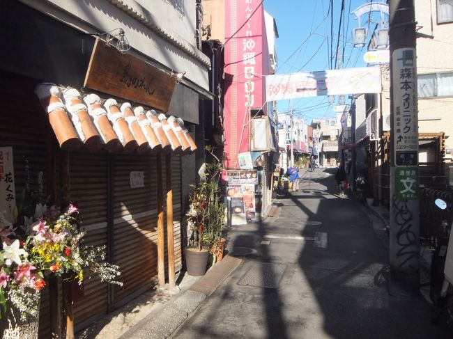 「2019年 2月前半 八重山」の旅を終えて1週間経ち、普段通りの生活に戻り、雪が降ったりと寒い日が続いていました。<br />八重山でなくても沖縄の余韻を少しでも味わいたいと思い、都内西部の杉並区の和泉商店街の「沖縄タウン」に行ってきました。<br />
