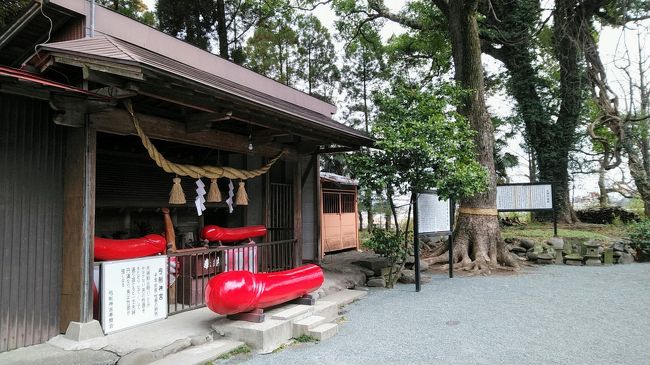 私が住む熊本市東区は阿蘇から流れる白川が大きく蛇行している地域で過去何回も水害に見舞われているところである。私が知っている過去最大の水害は昭和28年6月26日の大水害である。この時は阿蘇に降った大雨が白川に流れ込み、わが地区はもちろん、熊本市内の中心部も大水害に見舞われた。白川にかかっていた橋は木造が多くほとんど流されてしまった。わが地域の橋も全部流され、左岸から右岸に行くには熊本市内中心部の大甲橋しかない状態であった。<br /><br />最近では2012年7月の水害で蛇行している地域にあった家が流されてしまった。この水害をもとに白川の沿岸の改修工事が行われているのが現状である。かなり大規模な改修で蛇行している部分がカットされている。まだ工事が続いている。今年の3月末が工期の期限になっているがどうやら遅れそうである。<br /><br />この地域には白川沿岸に神社が多くあり、面白い神社もあるのでウォーキングを兼ねて探索してみたのがこの旅行記である。<br /><br />　距離は約10㎞で時間は約2時間のコースである。我が家のある東区上南部には奈我神社（乙姫神社）という645年ころ創建されたという神社がある。もともとはもっと白川沿岸にあったそうだが、現在は河岸段丘の上に移転している。<br />　肥後神楽という神楽が今も舞われて熊本市指定の文化財になってる。<br /><br />　コースは白川左岸から出発。奈我神社→中江菅原神社→中江神社→法皇社→弓削橋を渡って右岸へ→弓削神宮→小坂阿蘇神社→片彦瀬菅原神社→芭蕉公園→武蔵橋を渡って左岸へ→奈我神社というコースである。