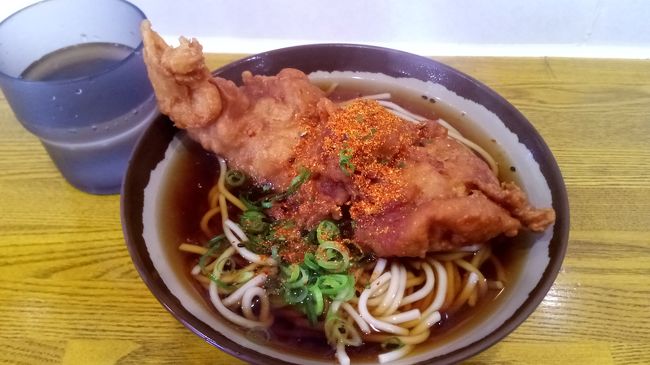160円で初体験大回り、暇なときには楽しいかもしれません、新たなブームになるか。<br />市川塩浜~蘇我~千葉~成田~我孫子~唐揚げそば~新松戸~武蔵浦和~新宿~御茶ノ水~西船橋