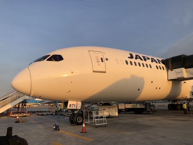 Jalプレミアムエコノミーで行く弾丸ジャカルタ2泊3日 その1 ジャカルタ インドネシア の旅行記 ブログ By でーすけさん フォートラベル
