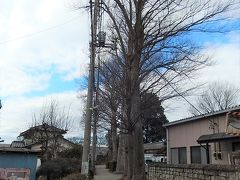 2月12日所沢市南永井付近の風景