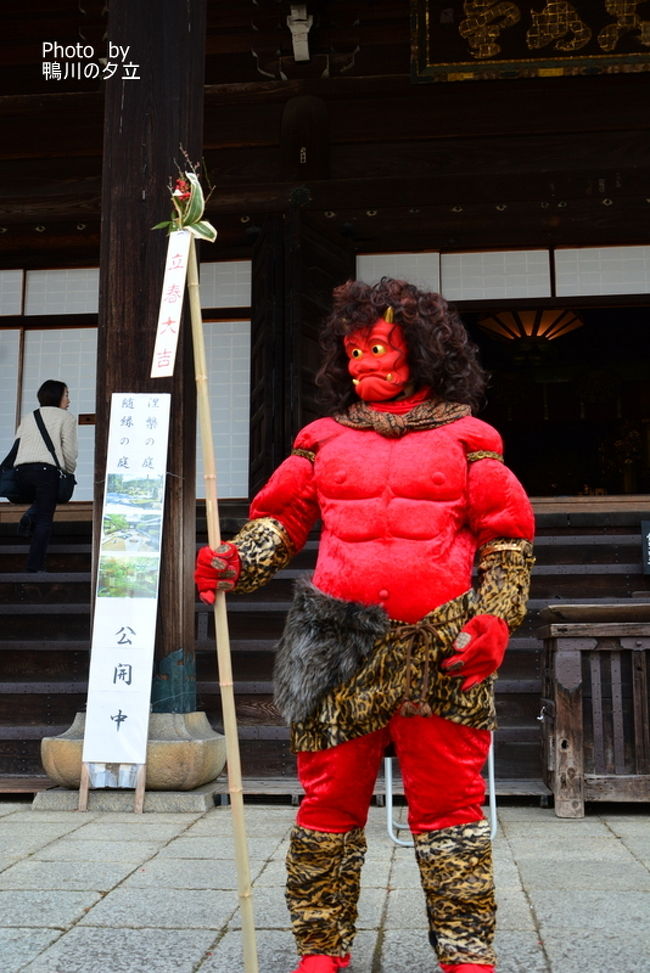 2月3日 節分の日ですね。今年は光明院のお墓掃除から節分祭と節分会に回ってきました。<br />行程は、光明院→真如堂→宗忠神社→吉田神社→聖護院門跡<br />どこもたくさんの人がお見えでしたが真如堂で立春大吉の御札を購入して<br />宗忠神社と吉田神社では人が多すぎて豆まきは無く袋入を購入します<br />ちなみに宗忠神社は一袋100円 吉田神社は200円<br />聖護院門跡では豆まきには程遠い場所で指をくわえてみていましたが<br />続いてあった護摩焚きは直ぐ側で撮影できました。<br />護摩焚きの時、近くにいた女性に場所を譲ってあげると帰りに聖護院門跡さんの福豆をいただきました。<br />雨に濡れて寒さに震える子羊 あっ間違えましたおじさんです(笑)<br />人の優しさが身にしみます。<br /><br />雨に濡れ 煙にまかれ 火の粉浴び 季節分け目に 染みる優しさ<br /><br />まあいろいろありました(笑)