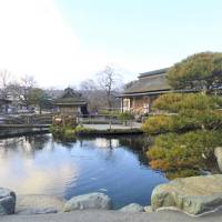 神秘の湧水池と富士山