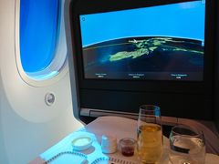 B787-10 ビジネスクラスで行く！シンガポール3泊5日の旅♪初日