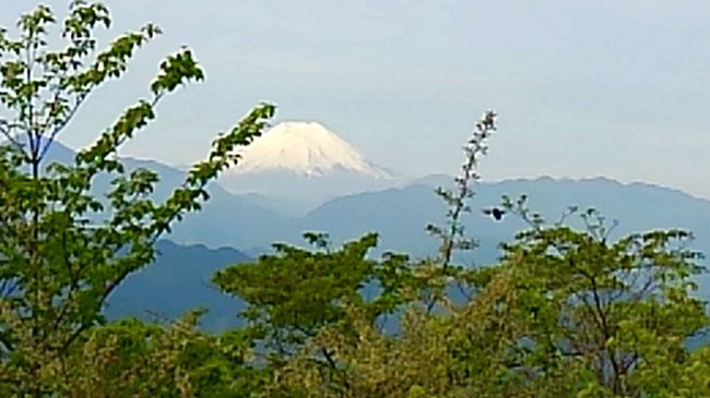 2017.新緑の高尾山