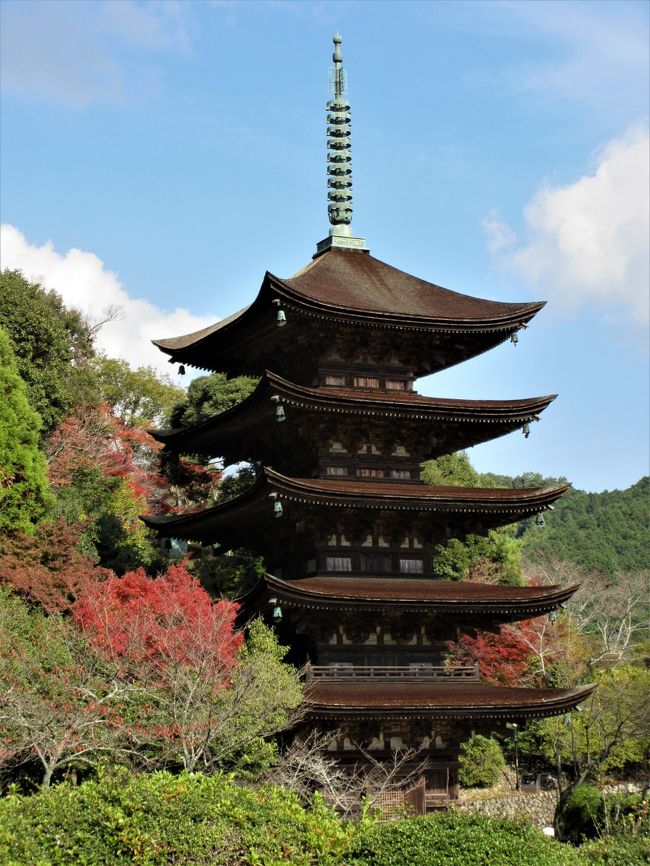 　常栄寺の雪舟庭で紅葉を楽しんだ後は瑠璃光寺の五重塔に行きました。<br />１０月の「ざ・庭園」のツアーでは香山公園は駆け足だったのでちょっとゆっくり歩きまわって見ました。<br /><br />　香山公園のあちこちで紅葉を見ることが出来ました。