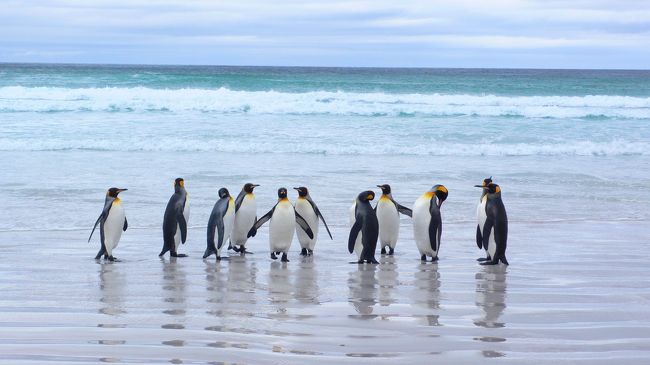 昔の記録を残す為に投稿しました。<br />記憶・記録等あいまいな部分ありますが、サンダース島のペンギン観察の参考になればと思います。