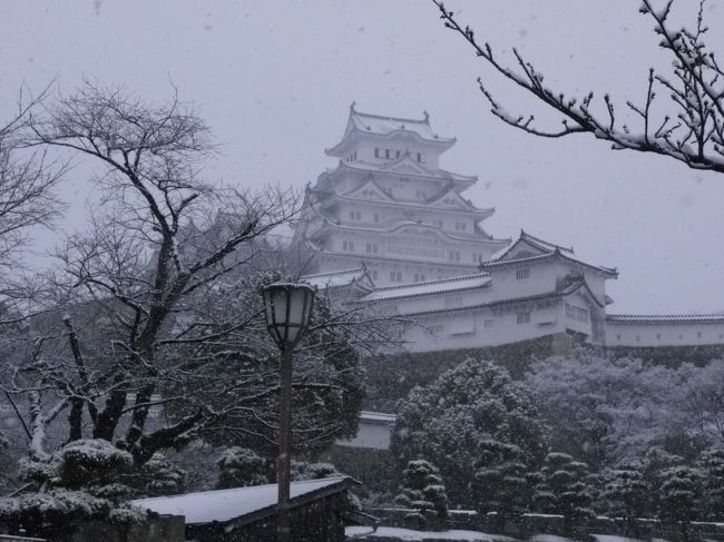 雪化粧の姫路城 姫路 兵庫県 の旅行記 ブログ By サプライズさん フォートラベル