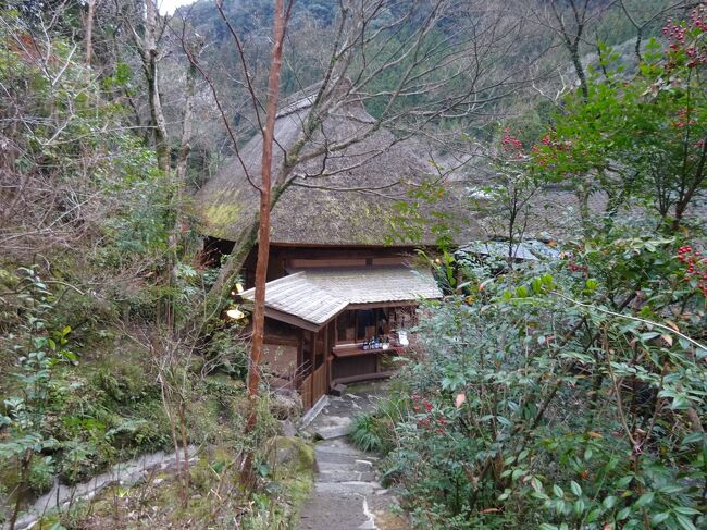 今回は宮ノ城温泉と妙見温泉に泊まるのが目的の旅だったので、鹿児島に着いてからの予定は全くなしでの出発でした。<br />8時半頃に鹿児島空港に着いたので朝食を食べながら一日目は桜島を一周して宮ノ城温泉に行き、二日目は開聞岳へドライブして妙見温泉へ行き、三日目は孫ちゃんの好きな高千穂牧場へ行こうということで決まりました。