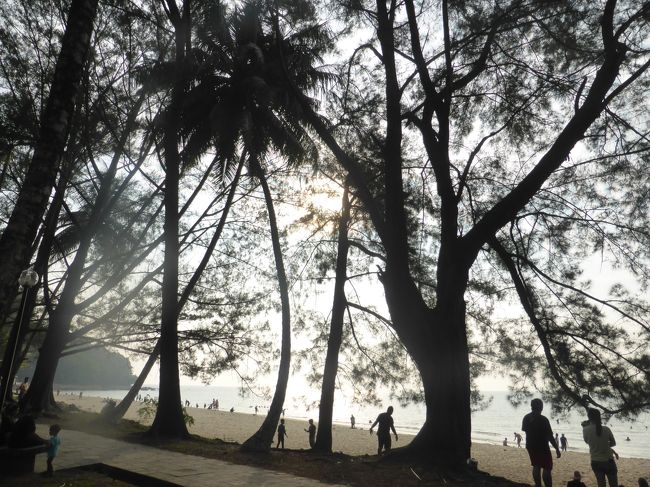 夏休み後半は東南アジアへ。行きたいところとマイルで行けるところをつないだ結果、インドネシアのジャカルタ→マレーシアのクアラルンプール乗継でマレーシアのクチン→シンガポールというルートになりました。<br /><br /><br />******************************************************************<br /><br /><br />クチン市内からGrabで、クチン北部にあるダマイビーチへ。ビーチもあるけれどすぐ近くにジャングルもあるという、マイナーですがとっても魅力的な場所でした。<br />