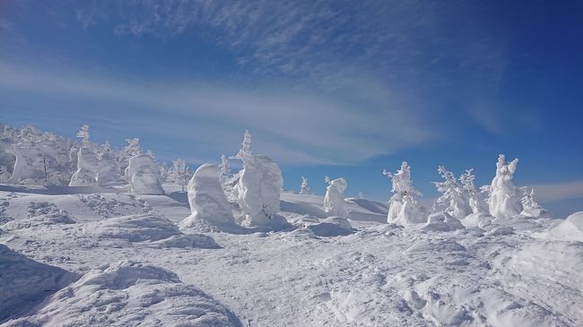 蔵王の樹氷を見るバスツアーに参加しました　2日目