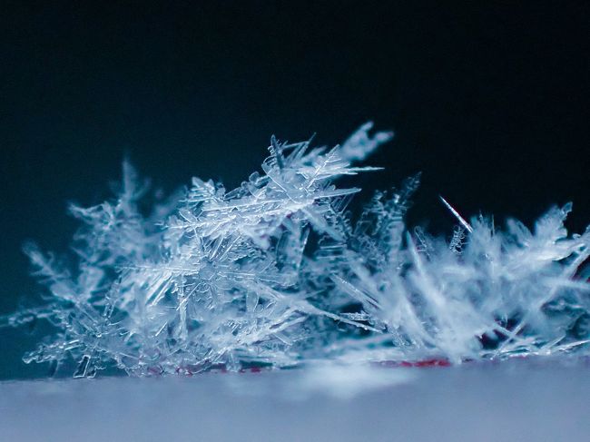 星空を見たくて軽井沢へ出かけました。しかし天気予報は大雪。現地についたら小雪の舞う天気。これは絶望的かなと思いながらいろいろ観光し、ハルニレテラスで晩ご飯を食べていたら!あーら不思議!突如晴れて頭上には満点の星空が…-11℃だったらしいですが、雪化粧された冬の軽井沢は絶景ポイントがたくさんありました