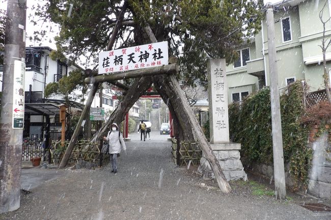 　鶴岡八幡宮を出るあたりからまた雪が激しくなる。荏柄天神社の門前では盛んに雪が降りしきる。鎌倉国宝館に入館してこの雪をやり過ごすべきだったのだろうか？しかし、この辺りでは鎌倉宮まで行かないことにはそうした場所はない。お宮通りに出て鎌倉宮へと足を進ませた。<br />　帰りは天候が回復し、昼よりは随分と暖かくなったが、この前で中学生の女子生徒とすれ違った。すれ違いざまにお尻を向けられてしまった。この女子生徒は荏柄天神社の前を通る度に社殿に向かってお参りしているのだ。さすがに学問の神さまだ。<br />（表紙写真は雪の荏柄天神社門前）