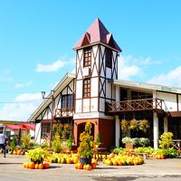 函館・ニセコ旅行② 大沼～ニセコ～札幌